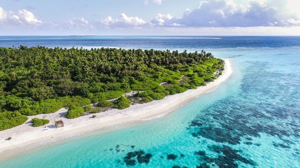 Villa Rosa Maldives Feridhoo Eksteriør billede