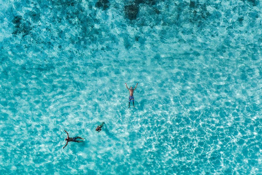 Villa Rosa Maldives Feridhoo Eksteriør billede