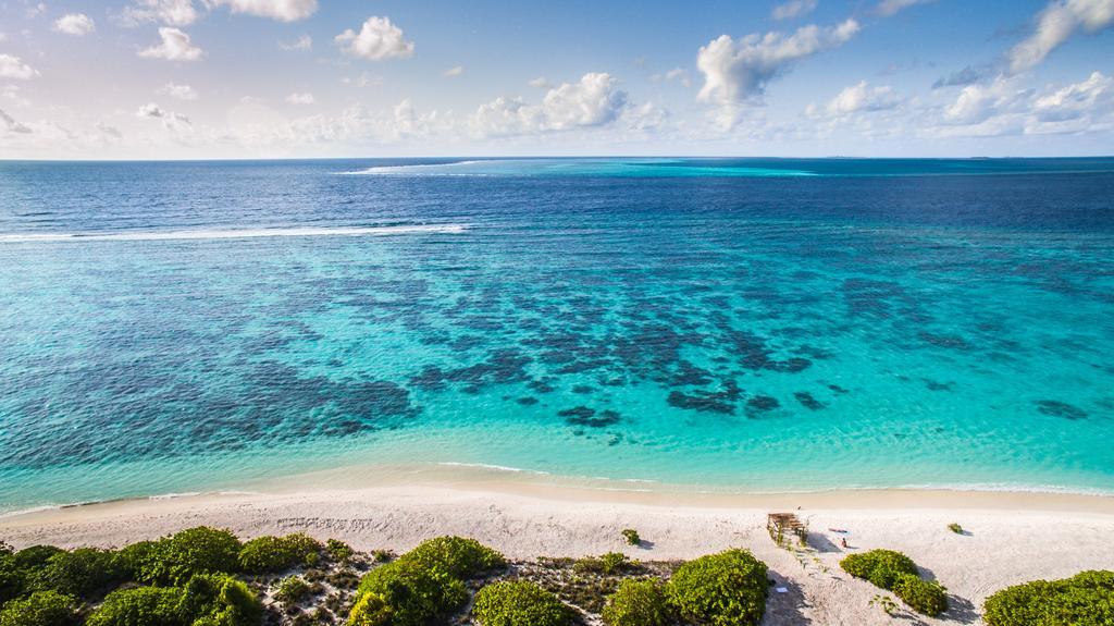 Villa Rosa Maldives Feridhoo Eksteriør billede