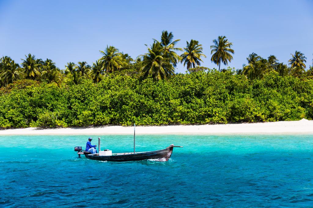 Villa Rosa Maldives Feridhoo Eksteriør billede