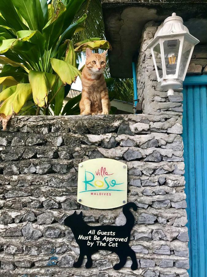 Villa Rosa Maldives Feridhoo Eksteriør billede